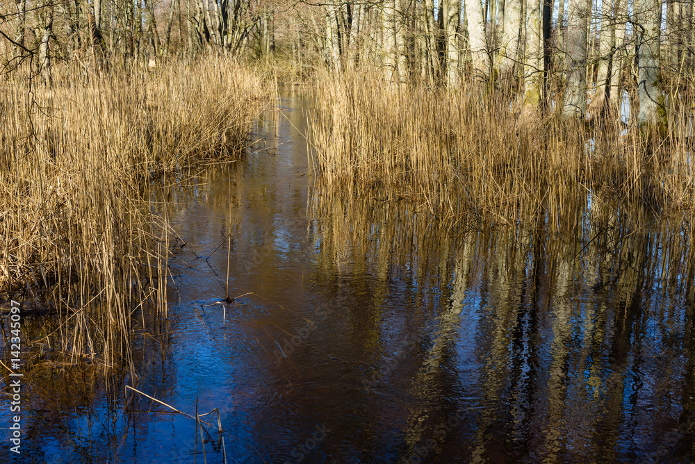 Spring flood in a small woodland river help bring nutrients to the surrounding area. It is also an important place for a variety of animals to have their young ones in. Spring flood in a small woodland river help bring nutrients to the surrounding area. It is also an important place for a variety of animals to have their young ones in.