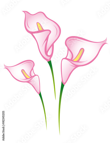 Beautiful pink lilies walltattoo 