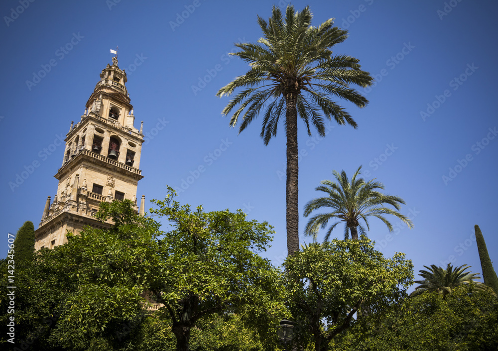 Bell tower from the court of oranges in Cordoba