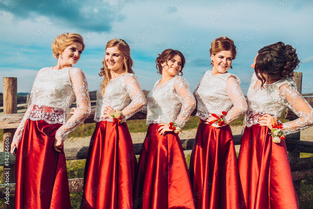 Five beautiful bridesmaids in same color red dress on wedding day having fun and circling around dresses behind mountains and blue sky. Funny girls. Five beautiful bridesmaids in same color red dress on wedding day having fun and circling around dresses behind mountains and blue sky. Funny girls.