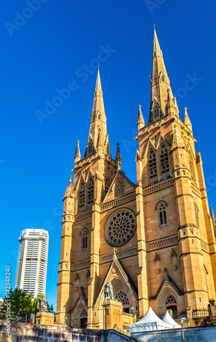 St Mary Cathedral in Sydney - Australia © Leonid Andronov