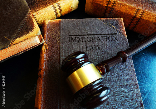 Immigration Law concept photo