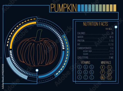 Pumpkin. Nutrition facts. Vitamins and minerals. Futuristic  Interface. HUD infographic elements. Flat design, no gradient. Vector illustration