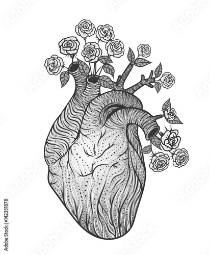 Human heart with flowers. Vector illustration. Tattoo style