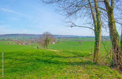 Panorama of a sunny green meadow on a hill 