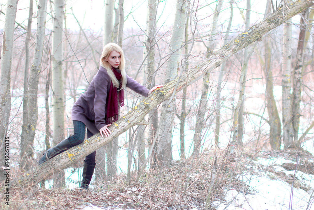 Beautiful blonde climbs through a tree, look at us, light background. Beautiful blonde climbs through a tree, look at us, light background.
