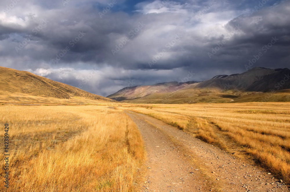 Road path on a desert wild mountain plateau with the orange yellow dry grass at the background of the hills under a stormy dramatic sky with white clouds, Plateau Ukok, Altai, Siberia, Russia