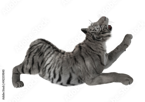 Fototapeta Naklejka Na Ścianę i Meble -  3D Rendering White Tiger on White