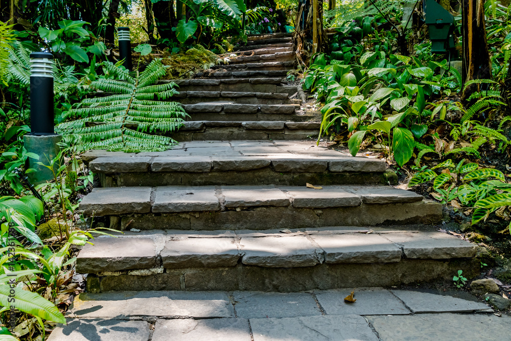 Stone Concrete staircase