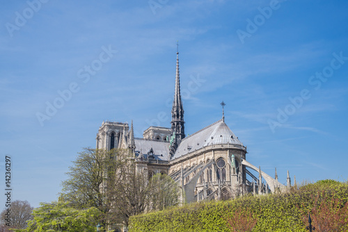 Paris, Notre-Dame cathedral in the ile de la Cite