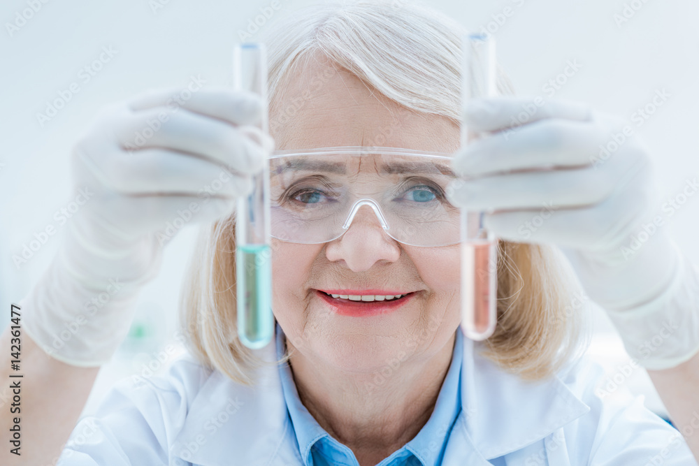 senior chemist looking at test tubes in laboratory senior chemist looking at test tubes in laboratory