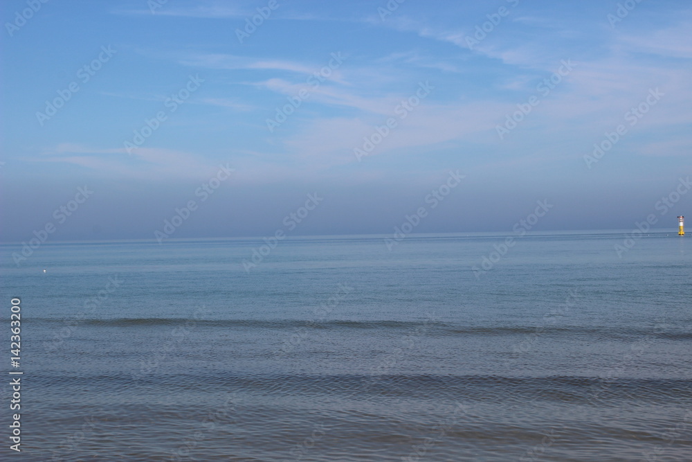 Blackheaded gull on the beach, seagull and swan an the beach, birds on the sea, pier on the sea, pier, sea, swan, sunny day on the beach, sunny say on the sea, baltic sea, 