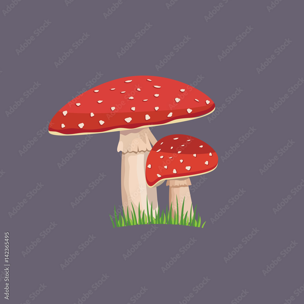 Amanita mushroom with green grass