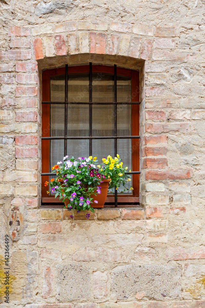 Flowers in a pot on a window