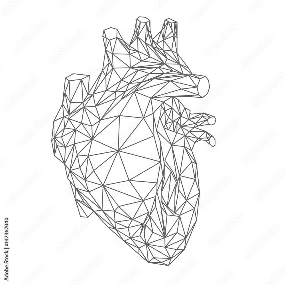 Cuore umano anatomico, forma del cuore reale in stile lineare polygonale,  linee grigie sullo sfondo bianco, illustrazione vettoriale Stock Vector