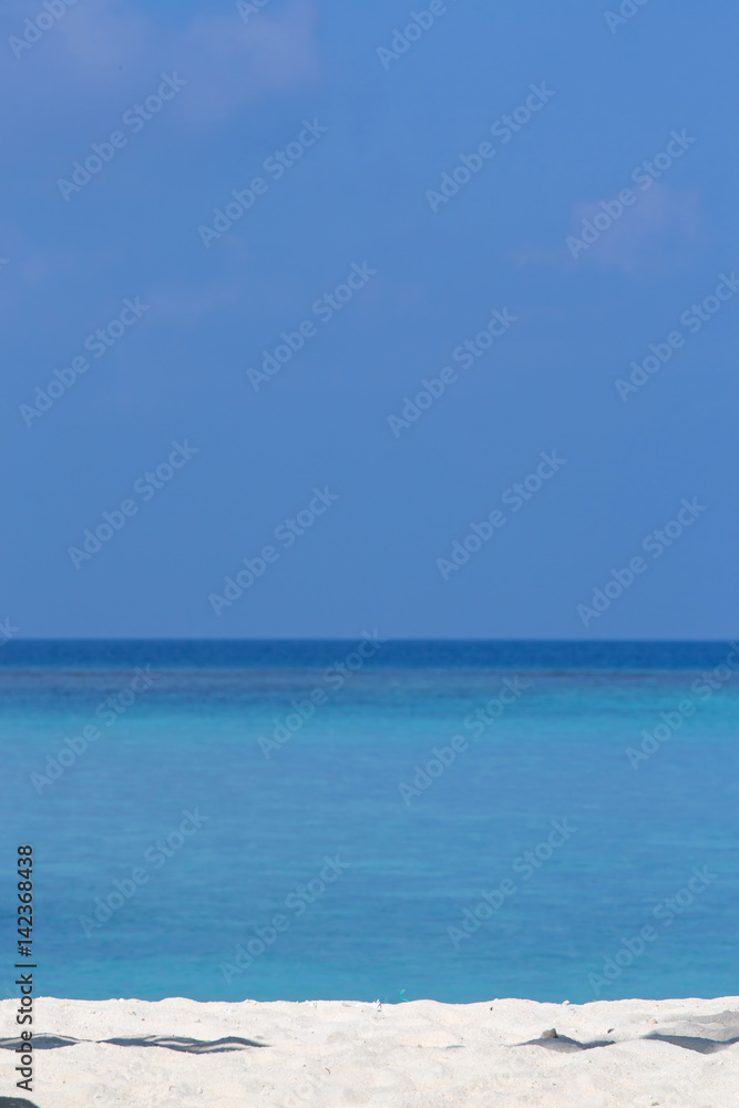 Tropical white sandy beach on the ocean coast. Maldives