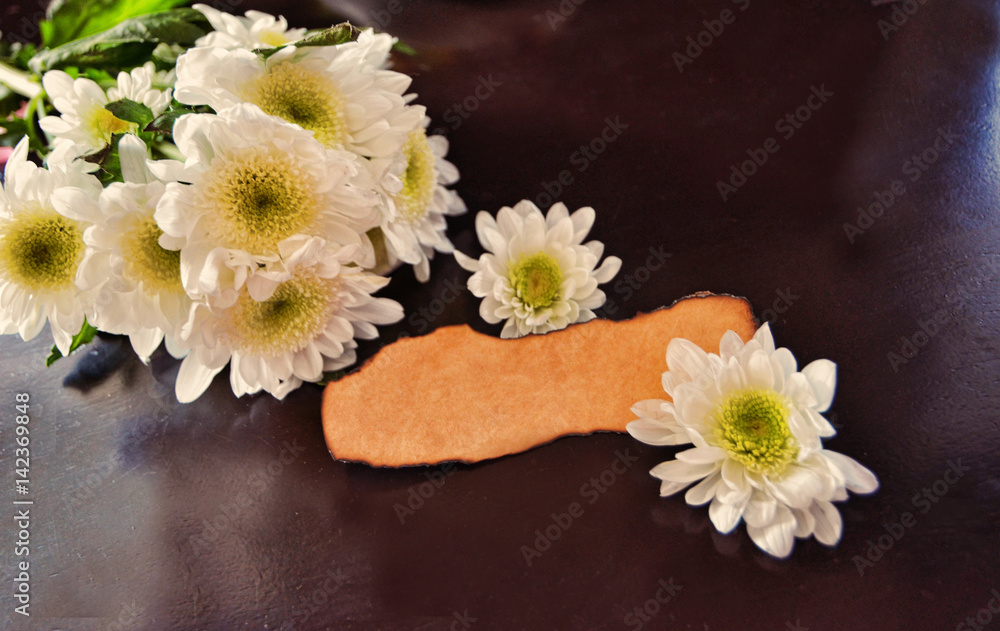 Branch of a white chrysanthemum on a dark background. Place for the inscription. White flowers and a signature card Branch of a white chrysanthemum on a dark background. Place for the inscription. White flowers and a signature card