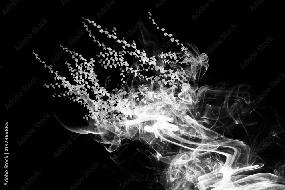 Smoke is shaped like creepers , ivy or ornamental plants on black background.