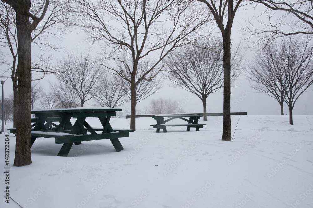 Benches covered with snow during the Winter Storm Stella – New York