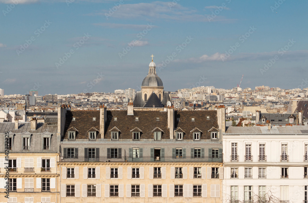 The panoramic view on parisian houses, Paris, France.