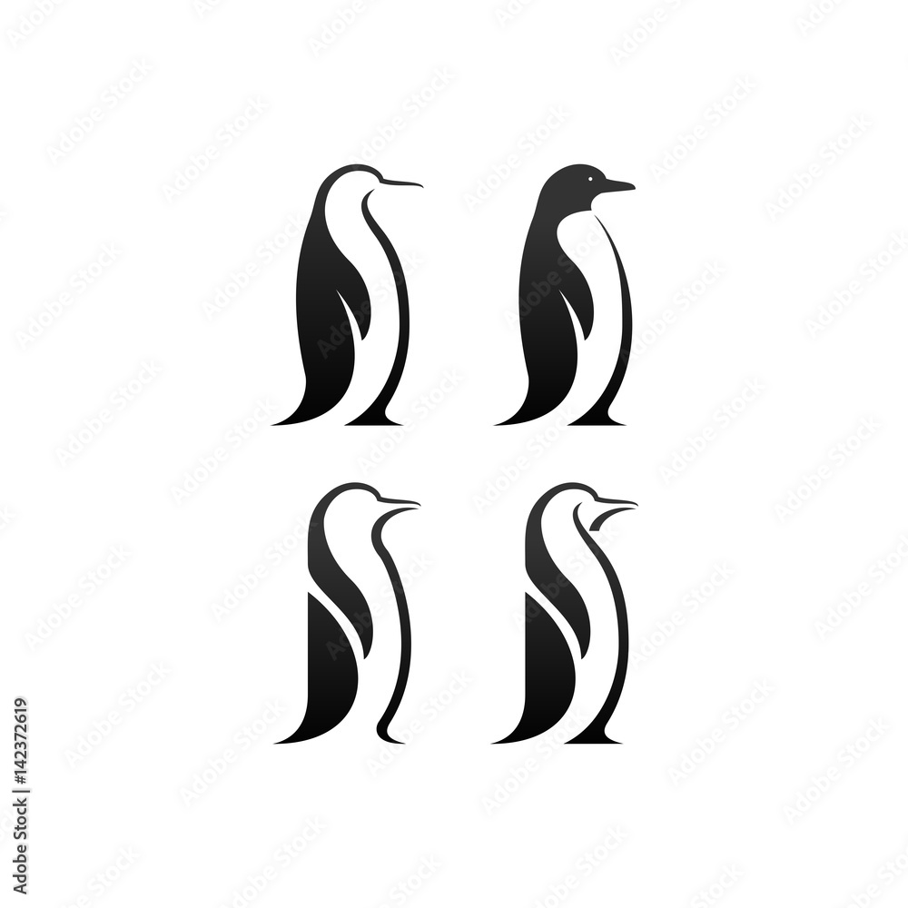 Obraz premium wektor pingwina