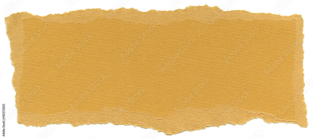 Isolated Fiber Paper Texture - Harvest Gold XXXXL