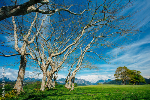 Landscape of tropical view in southern Thailand.