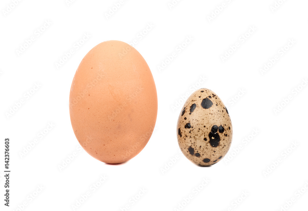 Raw chicken and quail eggs isolated on white background Raw chicken and quail eggs isolated on white background