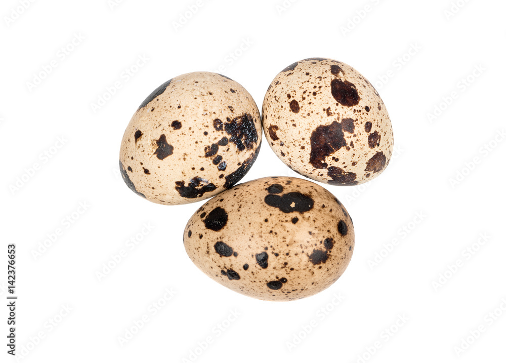 Three raw quail eggs on a white background, top view Three raw quail eggs on a white background, top view