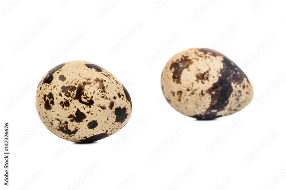 Two spotted quail eggs isolated on white background Two spotted quail eggs isolated on white background