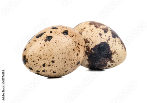 Two spotted quail eggs isolated on white background