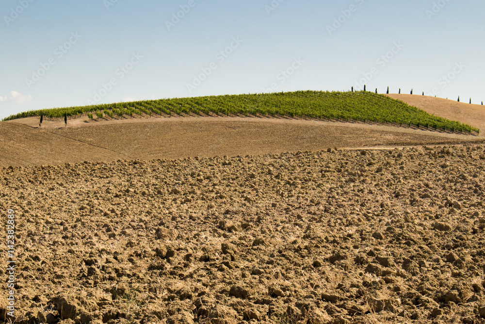 plowed field plowed field