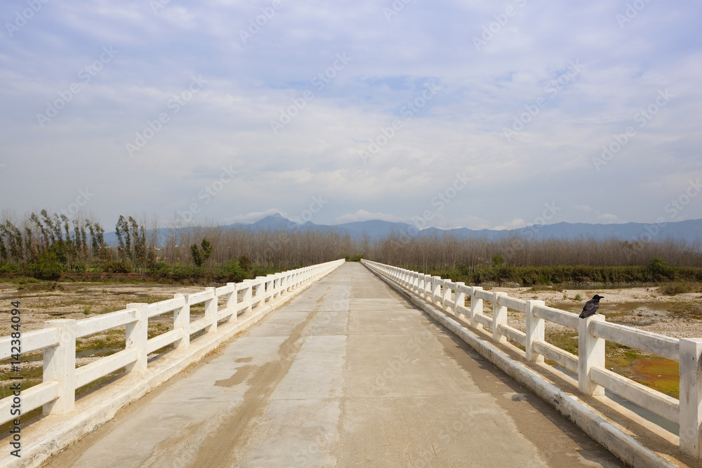 white bridge over a punjabi river