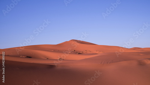 Sahara desert