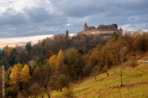 Картината върху платно Fortress of Coburg