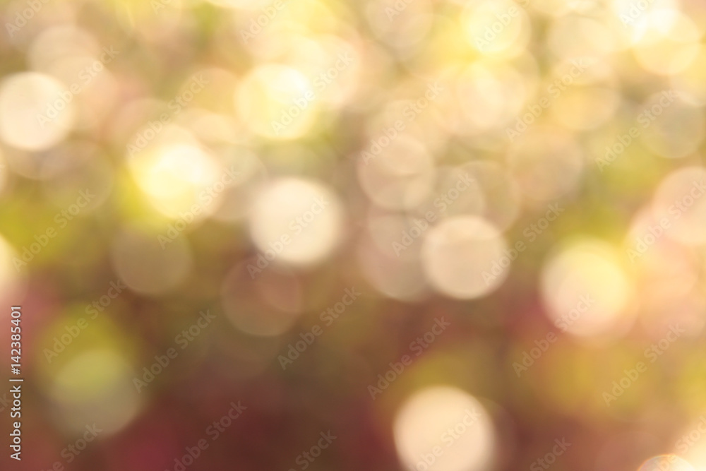 Fototapeta premium Blurred abstract circular light reflections (bokeh)