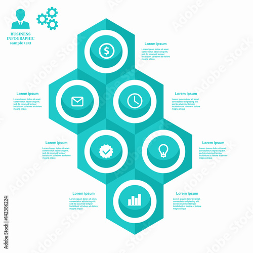 Business infographic hexagon in flat design. Layout for your options or steps