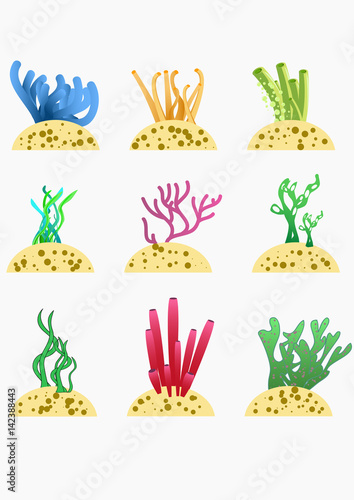 Set of cartoon corals and algae on white background
