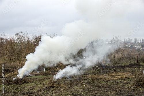 Smoke from burnt dry grass