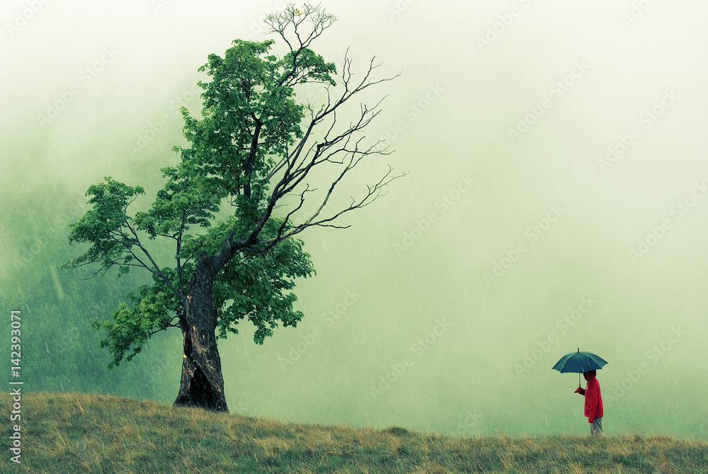 Strange dialog between a red hooded person holding an umbrella and a unusual looking tree struck by lightning - obrazy, fototapety, plakaty 