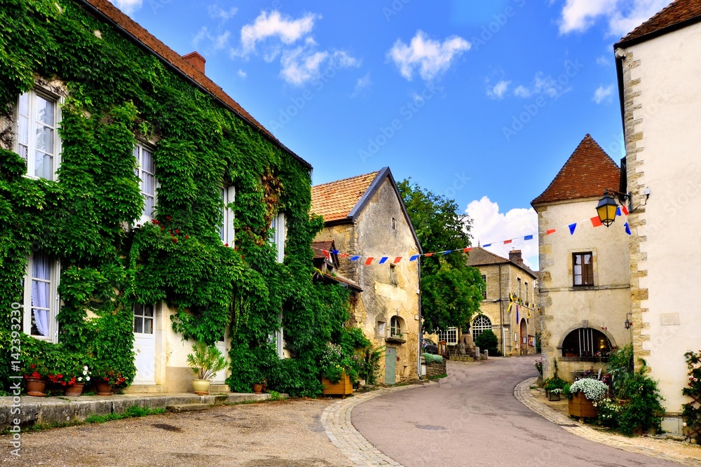 Leafy lane in a picturesque medieval village in Burgundy, France