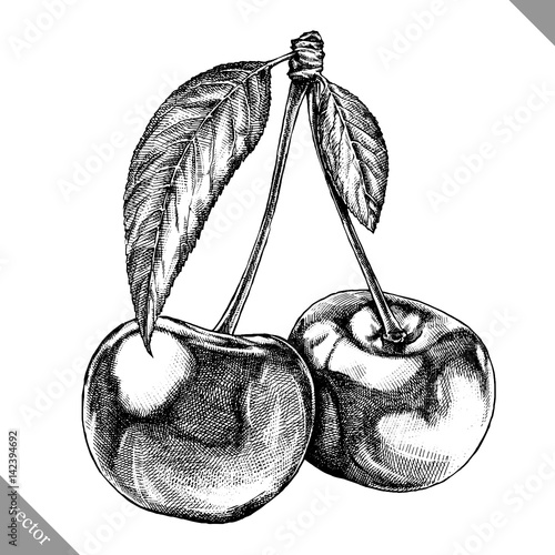 Engrave isolated cherry hand drawn graphic vector illustration