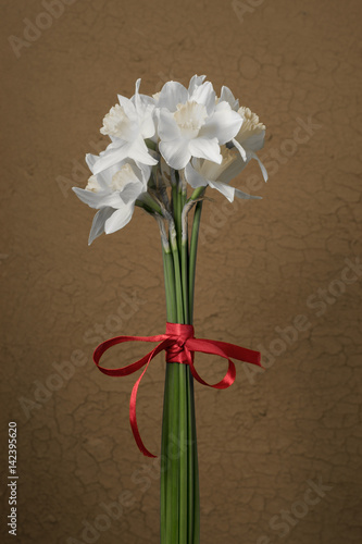 White daffodils on a colored background. Easter greeting card. Daffodils on wooden background.