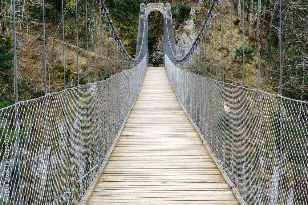Fototapeta premium Holtzarte suspension bridge, Aquitaine, France
