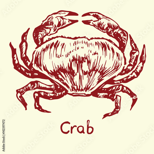 Crab, with inscription, hand drawn doodle, sketch in pop art style, isolated vector illustration