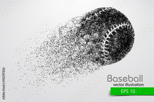 silhouette of a baseball ball. Vector illustration