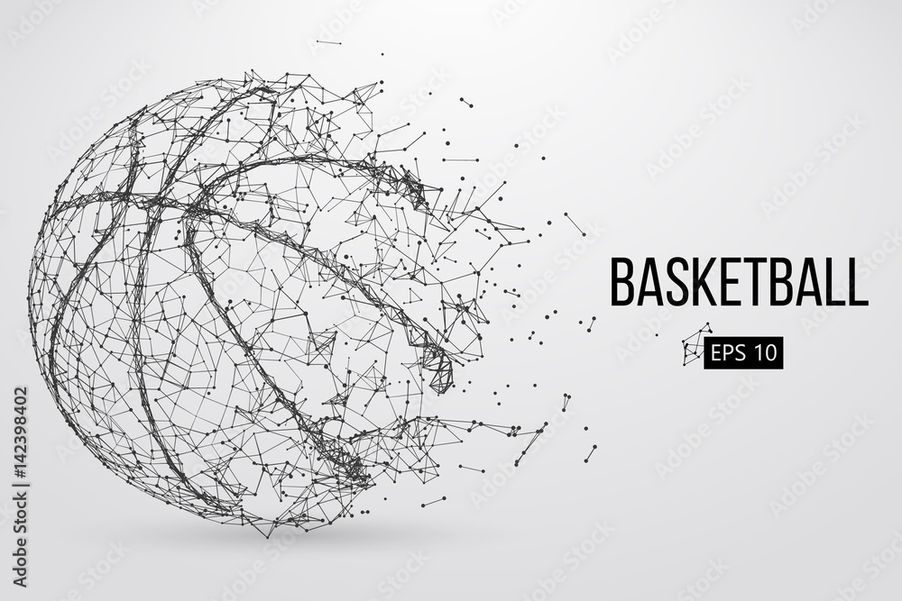 Fototapeta premium Silhouette of a basketball ball. Vector illustration
