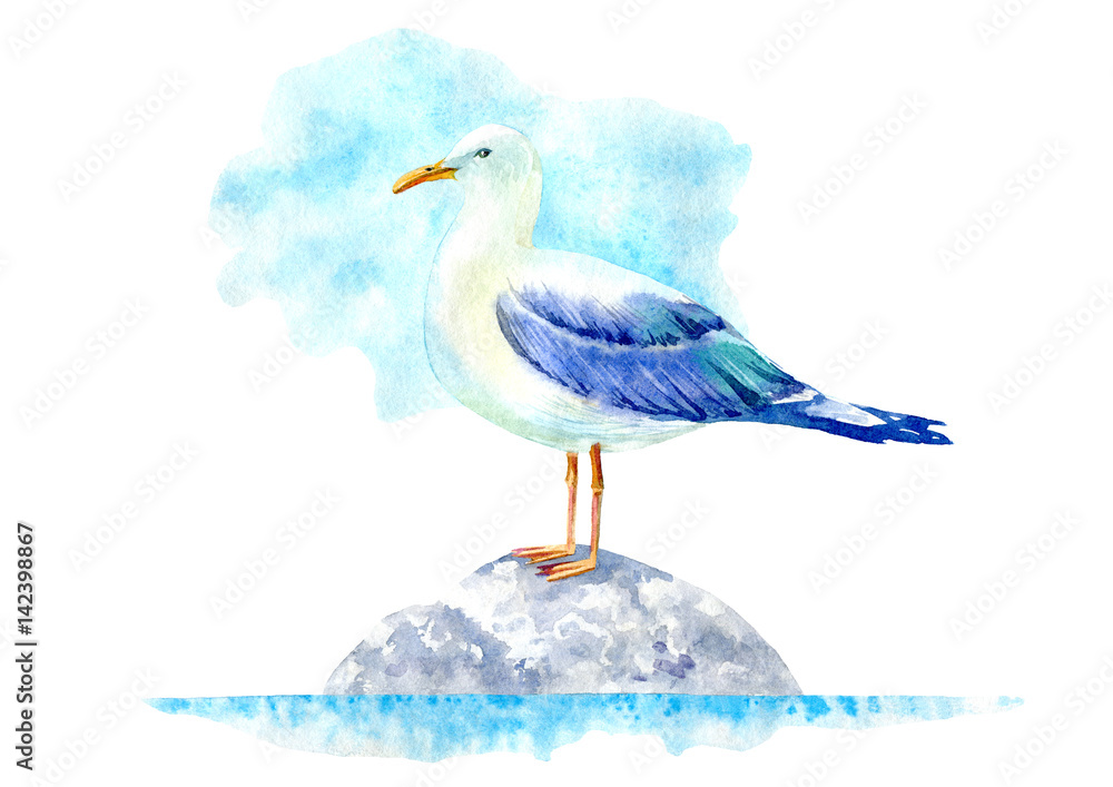 Fototapeta premium Seagull on a stone. Marine landscape. Watercolor hand drawn illustration. White background.