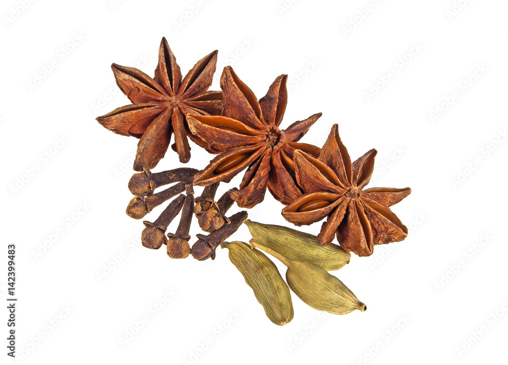Various spices isolated on white background Various spices isolated on white background