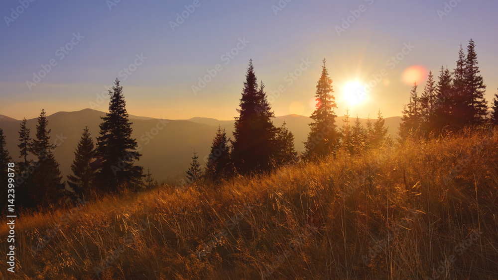 Silhouette of dry meadow grass at sunset with mountain on the background.